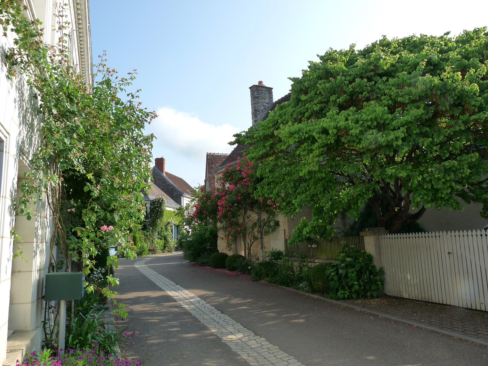 Rue fleurie du village-jardin de Chédigny